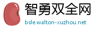 智勇双全网